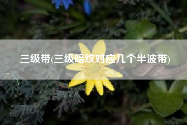 三级带(三级暗纹对应几个半波带)