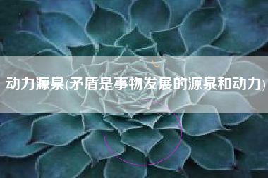 动力源泉(矛盾是事物发展的源泉和动力)