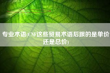 专业术语(CNF这些贸易术语后跟的是单价还是总价)
