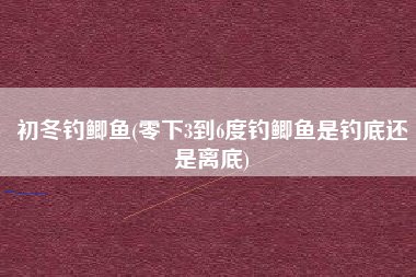 初冬钓鲫鱼(零下3到6度钓鲫鱼是钓底还是离底)