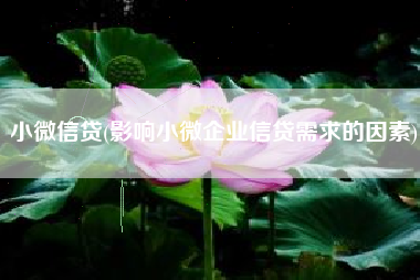 小微信贷(影响小微企业信贷需求的因素)