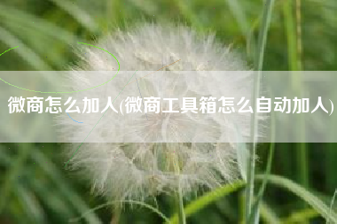 微商怎么加人(微商工具箱怎么自动加人)
