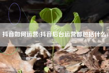 抖音如何运营(抖音后台运营都包括什么)