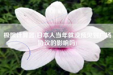 极限计算器(日本人当年就没预见到广场协议的影响吗)