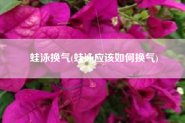 蛙泳换气(蛙泳应该如何换气)