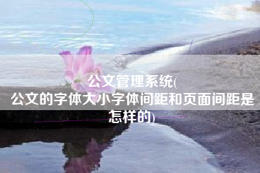 公文管理系统(
公文的字体大小字体间距和页面间距是怎样的) 公文管理系统(
公文的字体大小字体间距和页面间距是怎样的)