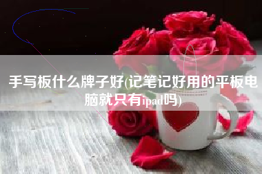 手写板什么牌子好(记笔记好用的平板电脑就只有ipad吗)
