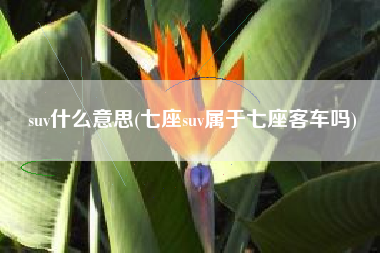 suv什么意思(七座suv属于七座客车吗)