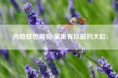 内隐联想测验(家里有以前的大缸)