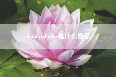 chubby(chubby是什么意思)