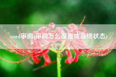 word审阅(审阅怎么设置成最终状态)