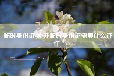 临时身份证(补办临时身份证需要什么证件)