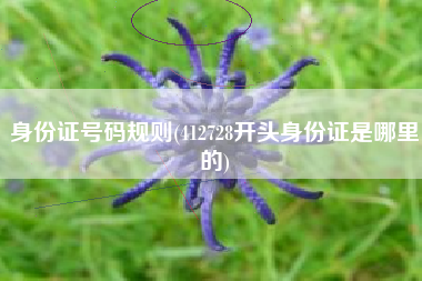 身份证号码规则(412728开头身份证是哪里的)