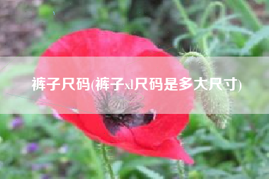 裤子尺码(裤子xl尺码是多大尺寸)