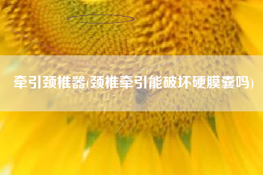 牵引颈椎器(颈椎牵引能破坏硬膜囊吗)