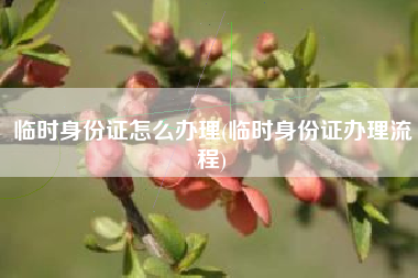 临时身份证怎么办理(临时身份证办理流程)