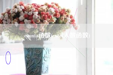 counta函数(excel人数函数)