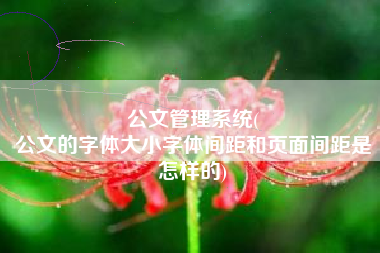 公文管理系统(
公文的字体大小字体间距和页面间距是怎样的) 公文管理系统(
公文的字体大小字体间距和页面间距是怎样的)