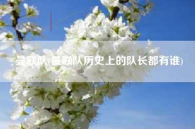 曼联队(曼联队历史上的队长都有谁)