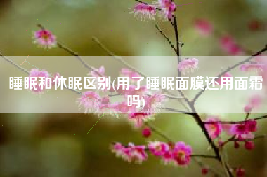 睡眠和休眠区别(用了睡眠面膜还用面霜吗)