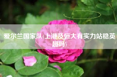 爱尔兰国家队(上港及恒大有实力站稳英超吗)