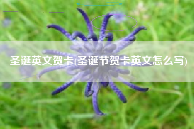 圣诞英文贺卡(圣诞节贺卡英文怎么写)