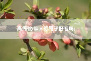 高筒靴(胖人穿靴子好看吗)