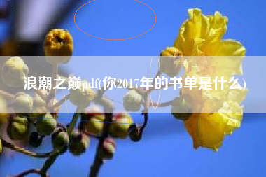 浪潮之巅pdf(你2017年的书单是什么)