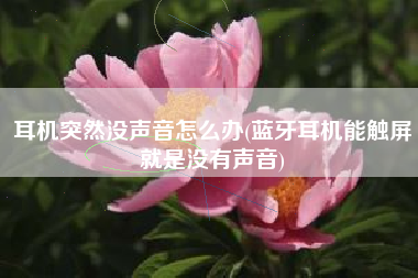 耳机突然没声音怎么办(蓝牙耳机能触屏就是没有声音)