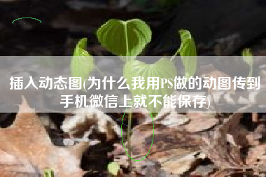 插入动态图(为什么我用PS做的动图传到手机微信上就不能保存)