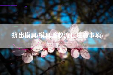 挤出模具(模具验收流程注意事项)
