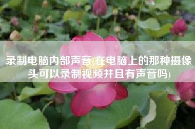 录制电脑内部声音(在电脑上的那种摄像头可以录制视频并且有声音吗)