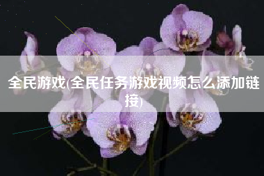 全民游戏(全民任务游戏视频怎么添加链接)