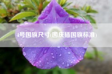 4号国旗尺寸(国庆插国旗标准)