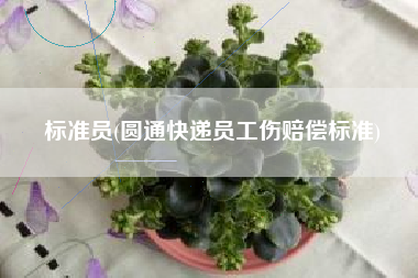 标准员(圆通快递员工伤赔偿标准)