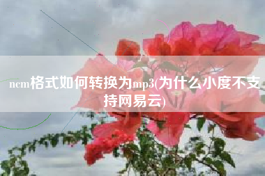 ncm格式如何转换为mp3(为什么小度不支持网易云)