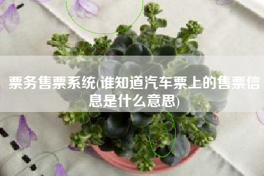 票务售票系统(谁知道汽车票上的售票信息是什么意思)