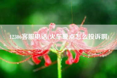 12306客服电话(火车晚点怎么投诉啊)