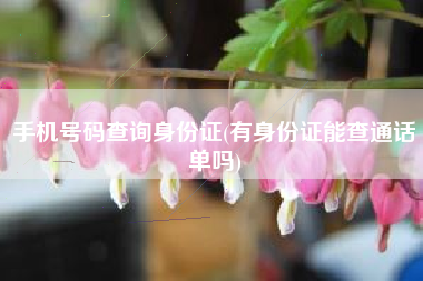 手机号码查询身份证(有身份证能查通话单吗)