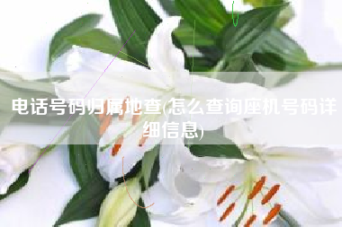 电话号码归属地查(怎么查询座机号码详细信息)