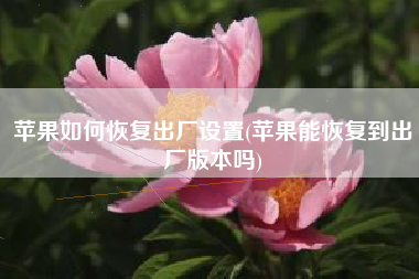 苹果如何恢复出厂设置(苹果能恢复到出厂版本吗)