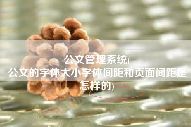 公文管理系统(
公文的字体大小字体间距和页面间距是怎样的) 公文管理系统(
公文的字体大小字体间距和页面间距是怎样的)