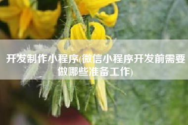 开发制作小程序(微信小程序开发前需要做哪些准备工作)