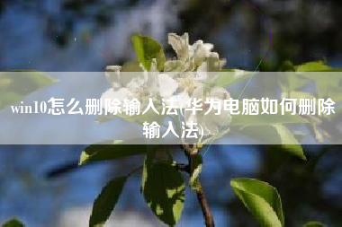 win10怎么删除输入法(华为电脑如何删除输入法)
