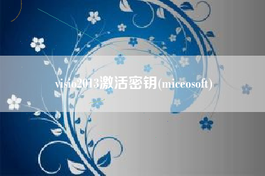 visio2013激活密钥(miceosoft)
