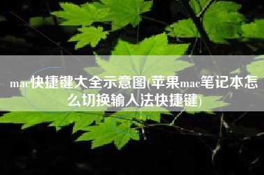 mac快捷键大全示意图(苹果mac笔记本怎么切换输入法快捷键)