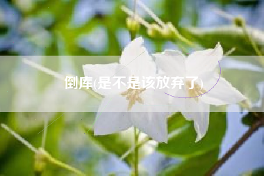 倒库(是不是该放弃了)