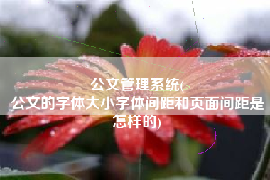 公文管理系统(
公文的字体大小字体间距和页面间距是怎样的) 公文管理系统(
公文的字体大小字体间距和页面间距是怎样的)