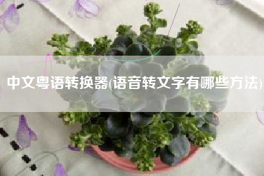 中文粤语转换器(语音转文字有哪些方法)
