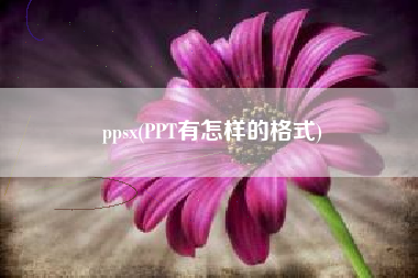 ppsx(PPT有怎样的格式)